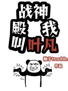 天神殿主叶凡免费播放