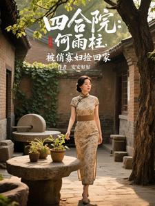四合院何雨轩