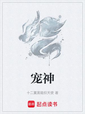 宠神 十二翼