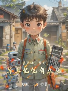 重生七八十年代军工