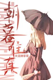 朝暮啥意思