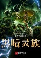 黑暗五灵之力
