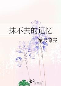 抹不去的回忆范文