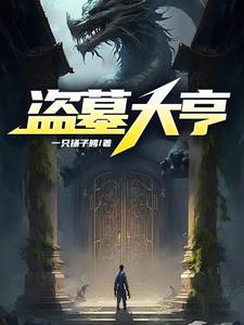 盗墓大盗电视剧