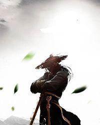 绝武兵王叶君临