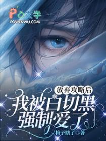 放弃洗白后我成了反派之光
