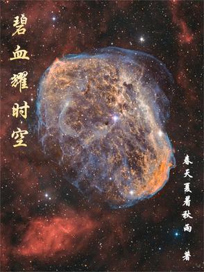 碧血长空1980大结局