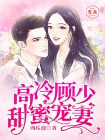 重生高冷顾少甜蜜宠全文阅读