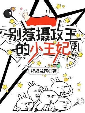 别惹痞子王妃
