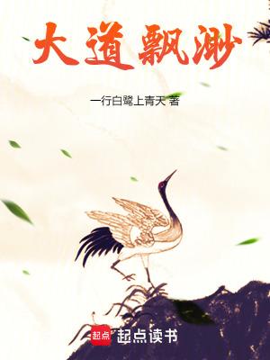 飘渺天道