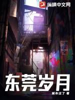 东莞岁月(蒋凡)