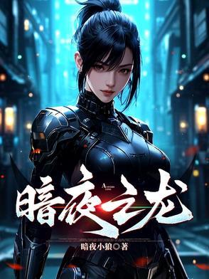 暗夜雏龙有什么用