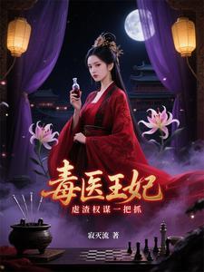医毒双妃穿越王爷毒