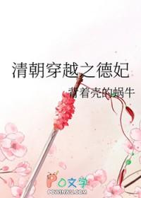 清穿之德妃传