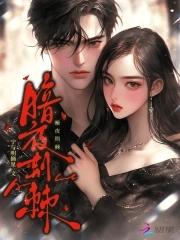 暗夜什么