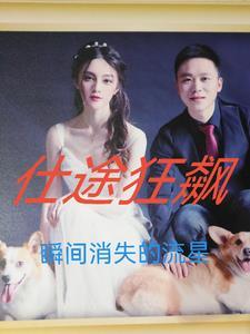 仕途惊涛全本免费阅读