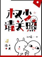 权少请关照免费阅读全文无弹窗