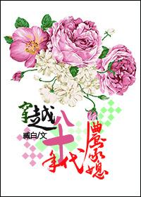 穿越八十年代农家媳 穿越八十年代农家媳